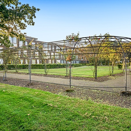 Elisabeth Roosendaal - Dorpstuin